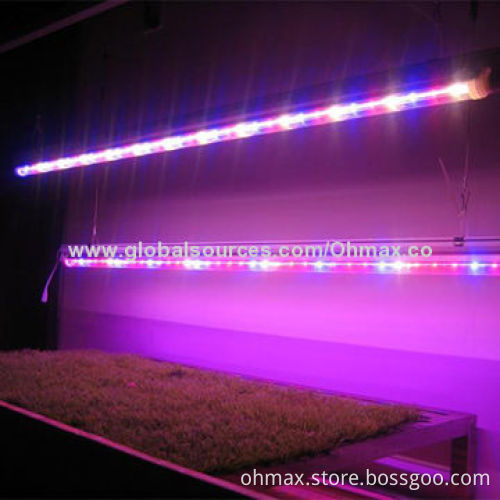 LED T8 Tube Grow Lights for Greenhouse/Indoor Plants Growth,to Replace Traditional Fluorescent Tube